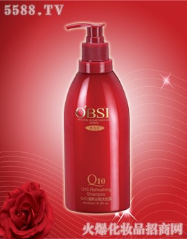 VжŻyƷ޹˾WQ10ϴoϵϵж