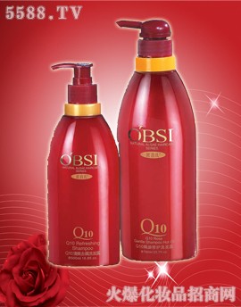 VжŻyƷ޹˾WQ10ϴoϵϵ