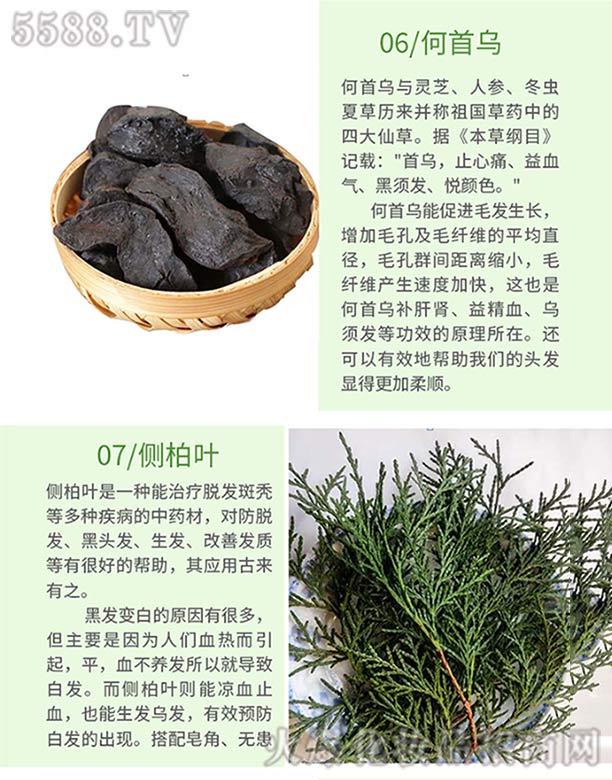 Ȫֿt(y)ˎ޹˾l(f)ѾѾݱֲϴl(f)飨מ(c)~