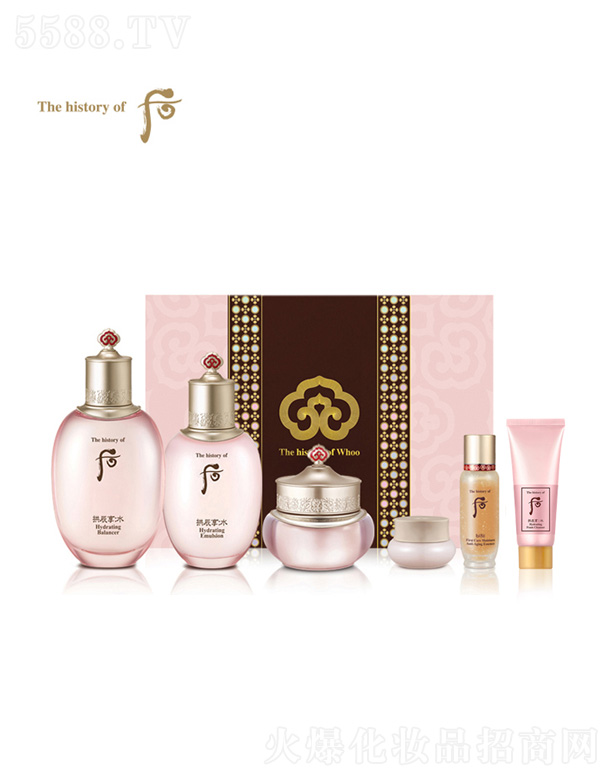 ½ψF(tun)W(wng)j(lu)Ƽ޹˾n(gu)WhooˮϵжY6