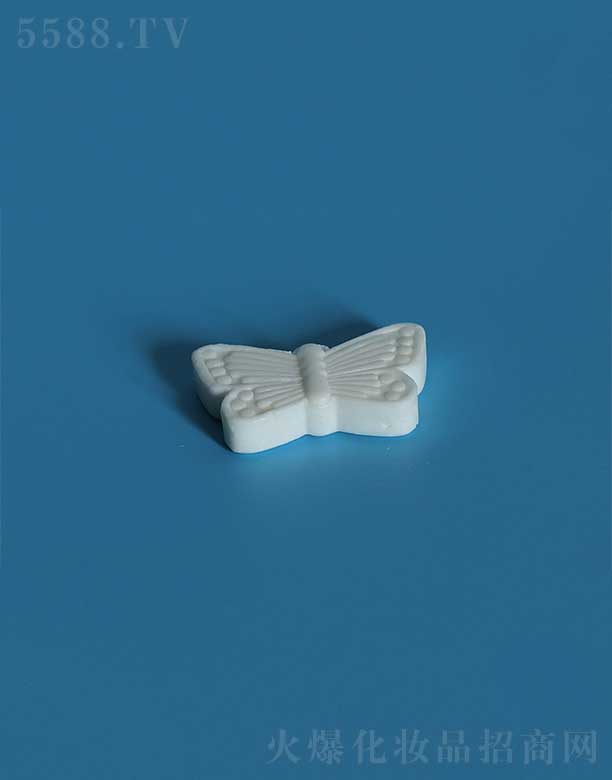 P(yng)ݻiջƷ޹˾SSH-004