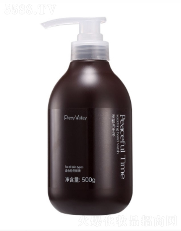 V݅RȻƷBi޹˾ϴҺ 500g