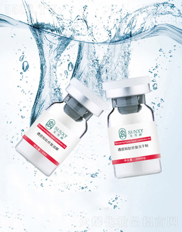 V|ʥѩƼ޹˾ʥѩ͸Ƥޏ(f)ɷ