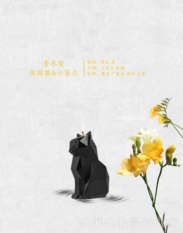 VݷҺ㾫޹˾ˮӢ&Сnm