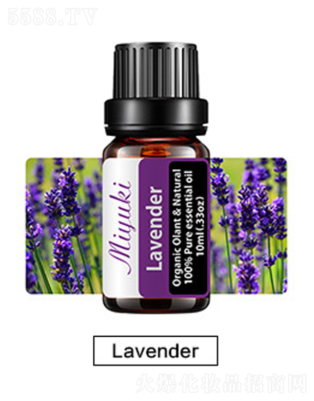 V׋IƼ޹˾o(h)w޹Ħ-޹²