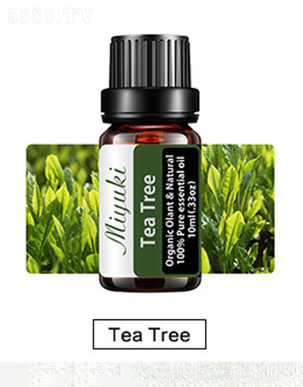 V׋IƼ޹˾o(h)w޹Ħ-Tea Tree(sh)
