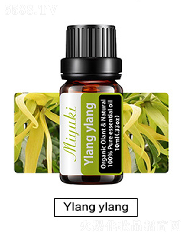 V׋IƼ޹˾o(h)w޹Ħ-Ylang ylangm