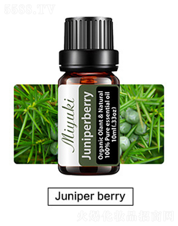 V׋IƼ޹˾o(h)w޹Ħ-Juniper berry