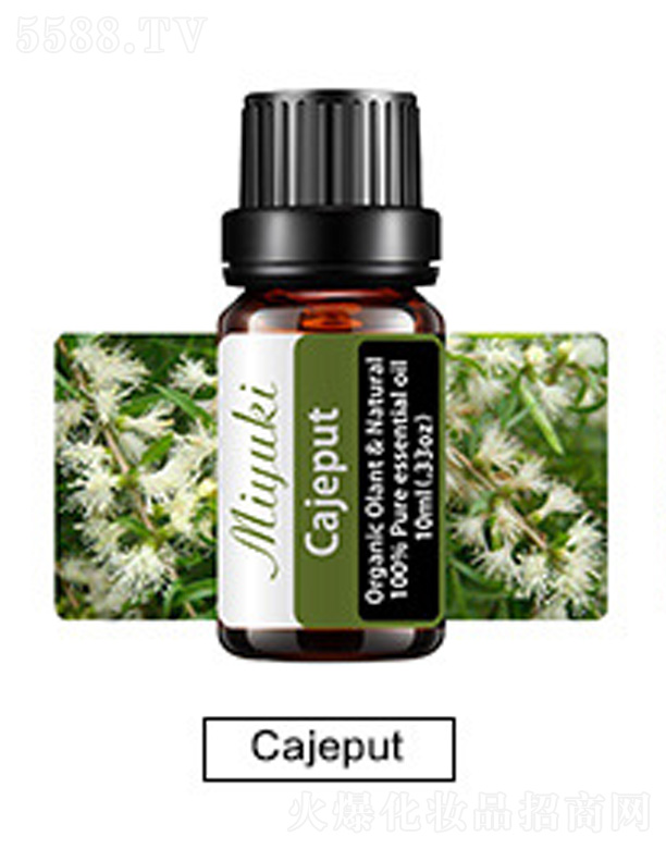 V׋IƼ޹˾o(h)w޹Ħ-Cajeputǧ