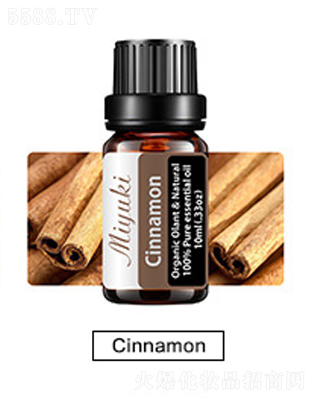 V׋IƼ޹˾o(h)w޹Ħ-Cinnamon