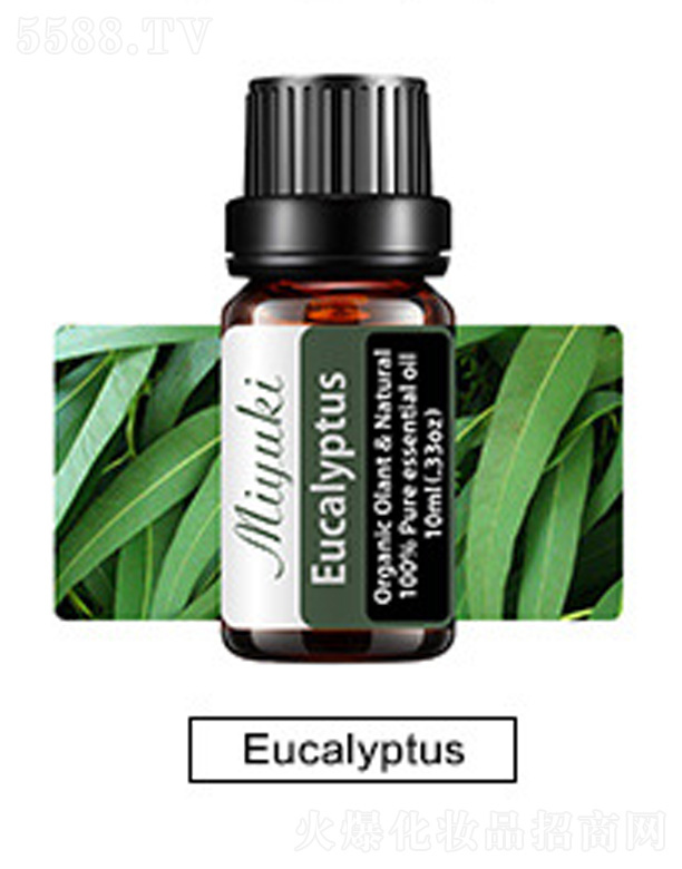 V׋IƼ޹˾o(h)w޹Ħ-Eucalyptus(sh)