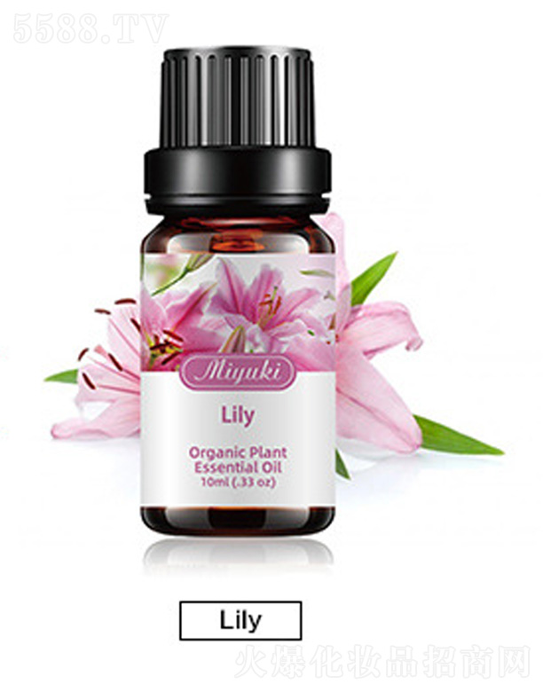 V׋IƼ޹˾o(h)w޹Ħ-Lily