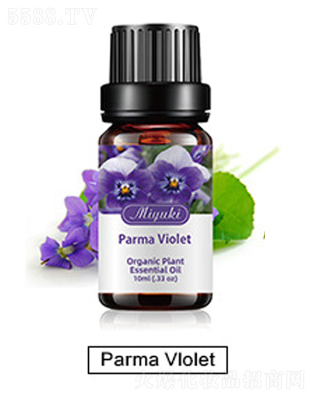 V׋IƼ޹˾o(h)w޹Ħ-Parma Vlolet