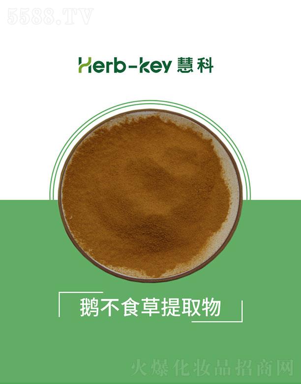 ۿֲ_l(f)޹˾ۿZʳȡ