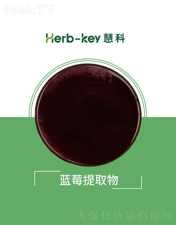 ۿֲ_l(f)޹˾ۿ{ݮȡ