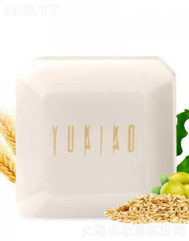 ѩƼ()޹˾ѩʿ๦ֹ̝(rn)ͣ