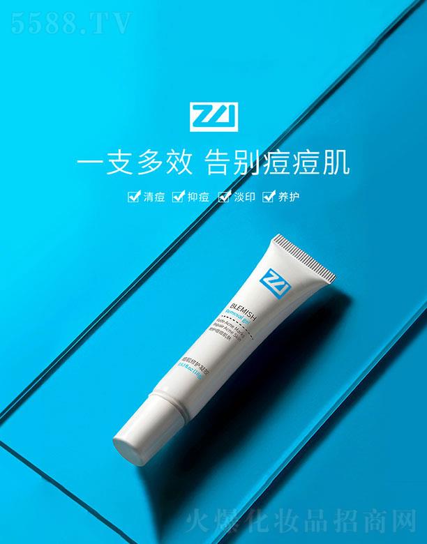 麣WS˹Ƽ޹˾麣WS˹   WS˹oz   嶻ӡ