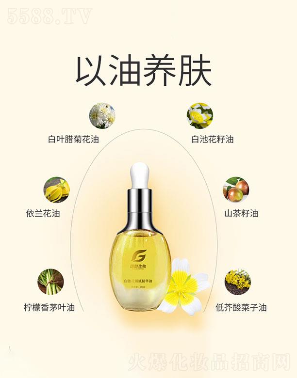 (V|)޹˾   ׳ػ׾A   o(h)