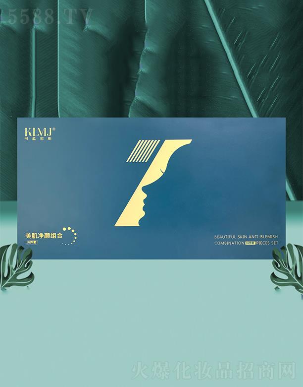 ؑc{F޹˾ؑc{ {ۼM