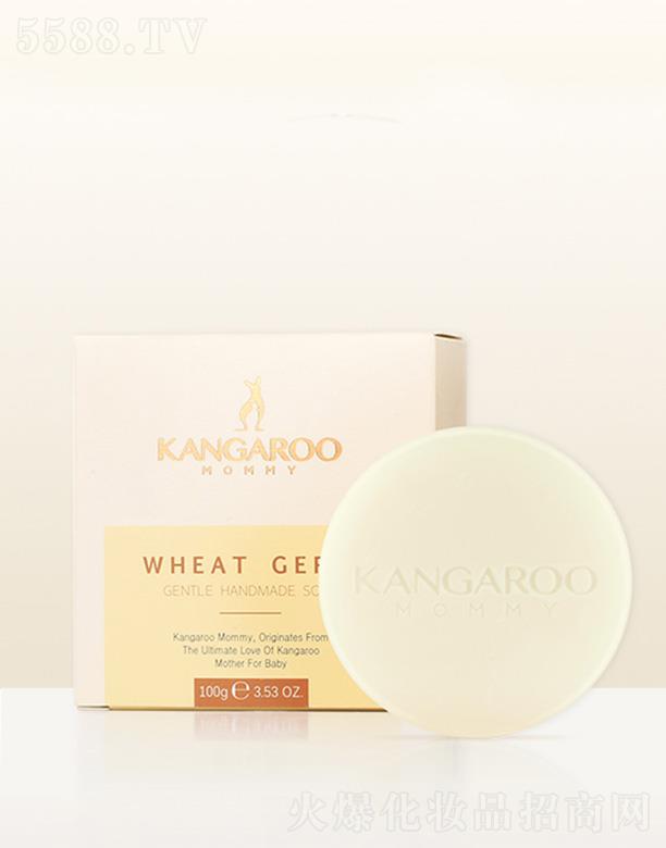 VݐƼ޹˾󋌋Сѿ坙(rn)w 100gӌጷˮx輡wˮ(rn)