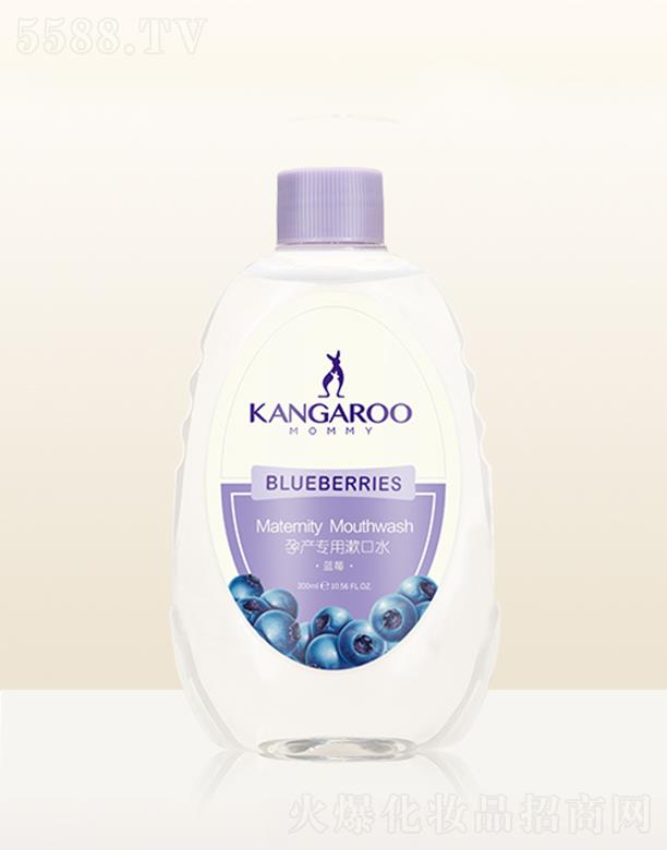 VݐƼ޹˾󋌋Юa(chn)ˮ{(ln)ݮ300mlh(yun)xN܆}