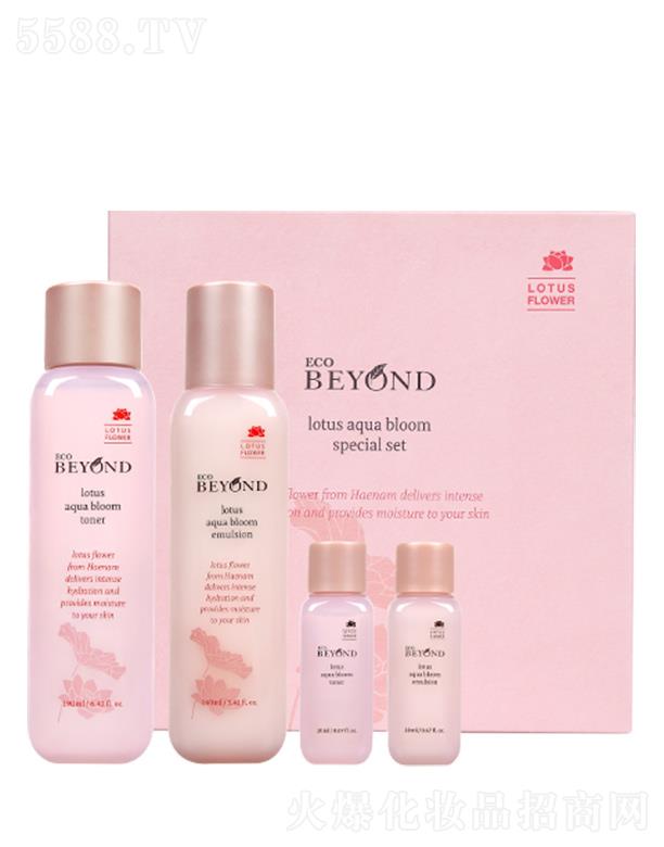 Q(mo)(Ϻ)޹˾ؐɏˮ`ŻA(ch)o(h)w2 ˮ̝ʮ