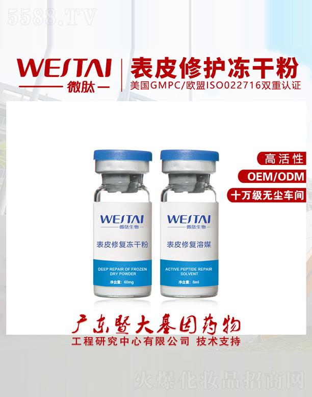 V|΢Ƽ޹˾΢ıƤo(h)ɷ ߻