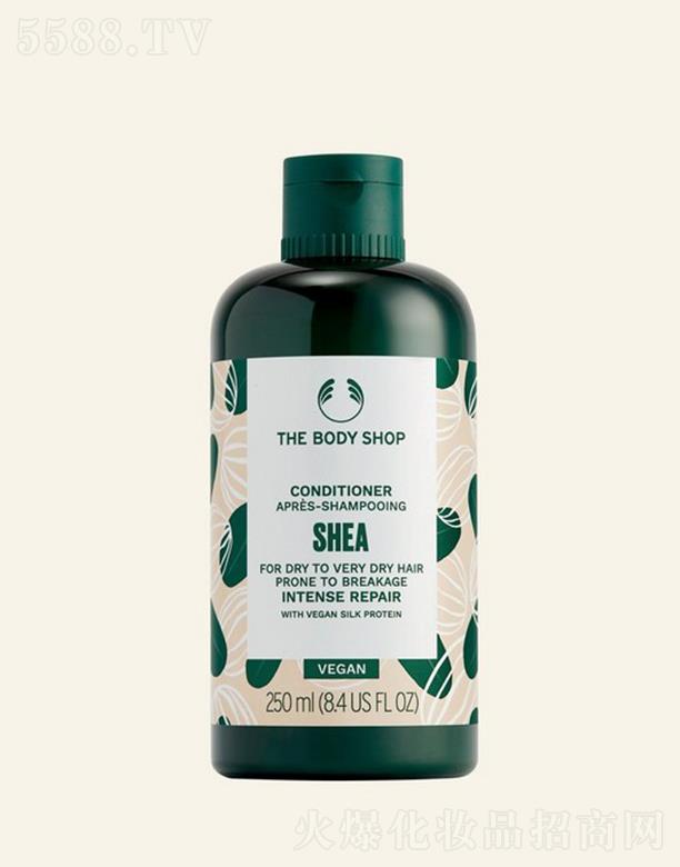 WR(Ї)޹˾wСľޏol(f) 250mlmϸOהl(f)