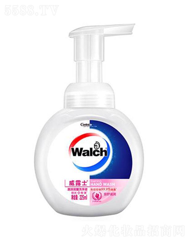 V݋ҼxM(fi)Ʒ޹˾¶ʿĭϴҺ o(h)̝(rn) 225ml̝(rn)ɷּӱo(h)