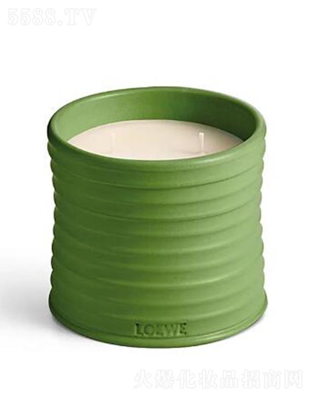 _Q(mo)(Ϻ)޹˾_̖㶹㾫ϞT