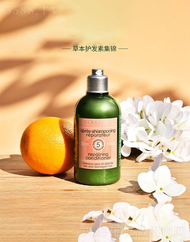 _˹W浤Q(mo)ףϺ޹˾W浤51ݱo(h)l(f)