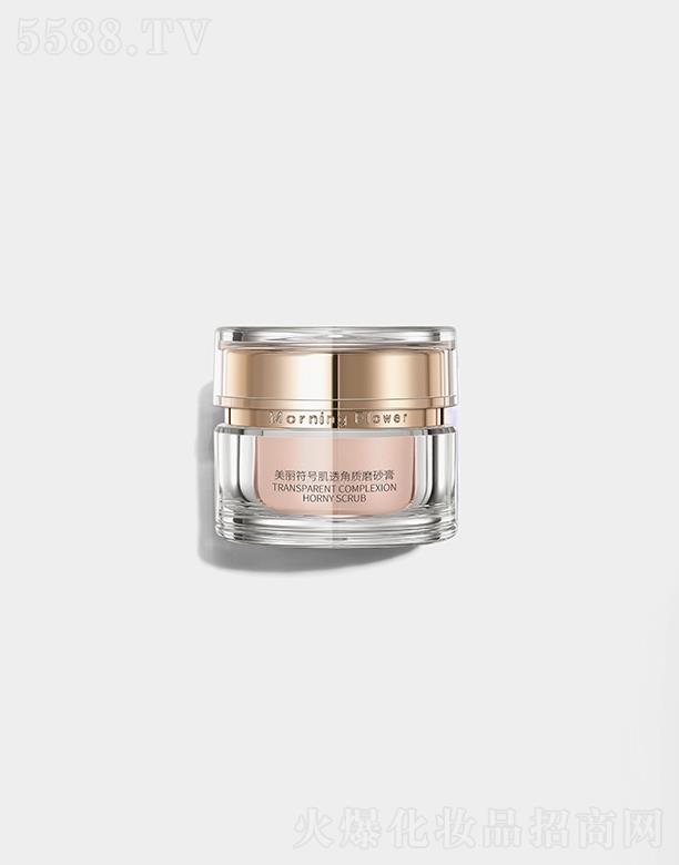 (gu)HyƷ޹˾MorningFlower͸|(zh)ĥɰ