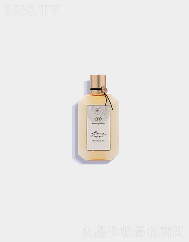 HyƷ޹˾MorningFlowerݝw