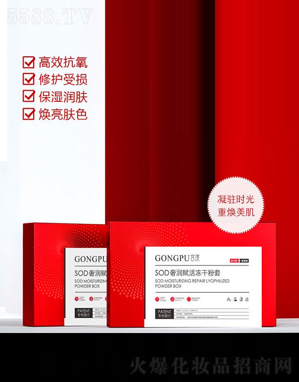  (V)ԃ޹˾mGONGPUSODݝxɷ