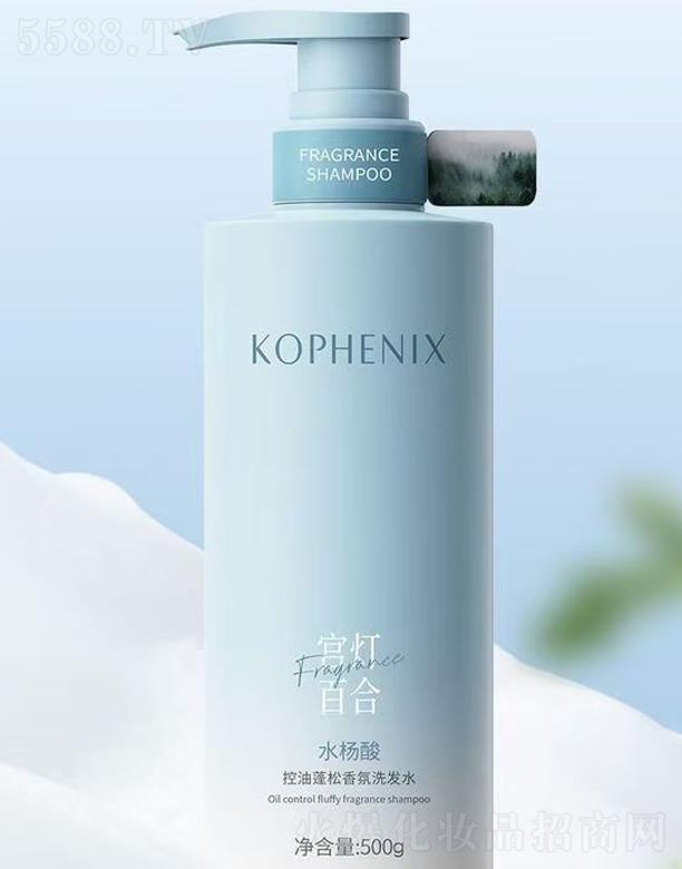 ݿPyƷɷ޹˾Pˮϴl(f)ˮ