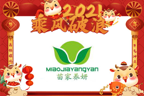 ţ괺(ji)B(yng)Ը_SϼҚgAAMM