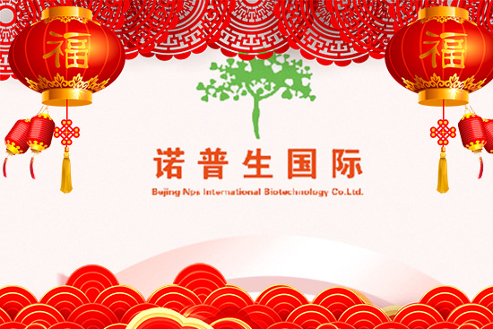 ţ\ţDCZףԸţţ