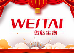 金龍送福，開門大吉！廣州微肽給您拜年了！