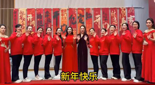 蛇年好運(yùn)至，幸福滿人間！飛斯達(dá)祝您百事從歡，一路向陽！