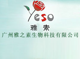 �V����֮������Ƽ����޹�˾