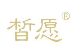 �V���Ը����Ƽ����޹�˾