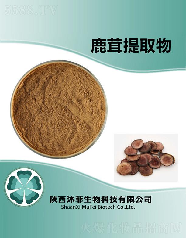 ���¹����ȡ��