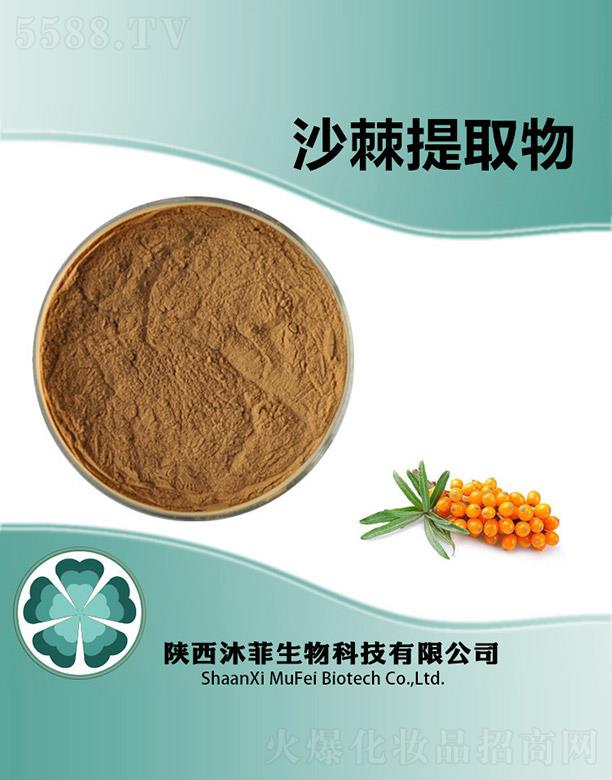 ���ɳ����ȡ��