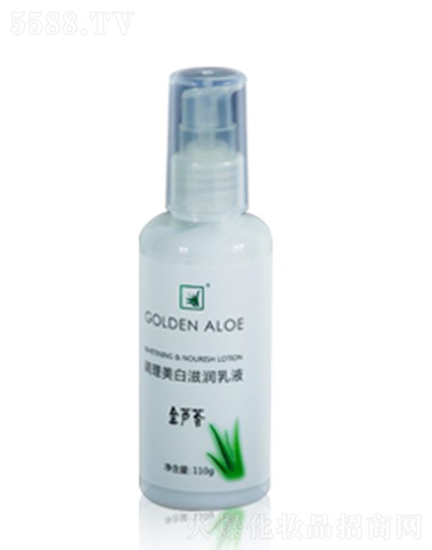 (i)C{(dio)̝(rn)Һ 100ml