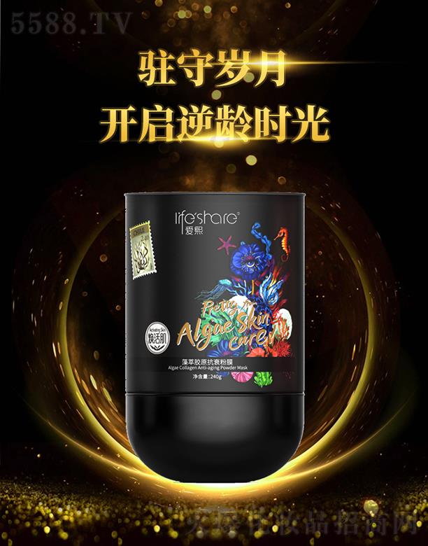 (i)zԭ˥Ĥ 240go¼w͸