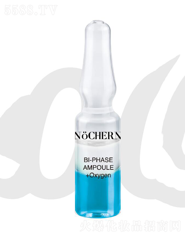 NOCHERN�����{(l��n)����Сը��  �̝����w