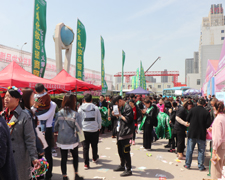 2019�������I(y��)���[�������ʟo�����𱬾W(w��ng)�����G��ȫ����