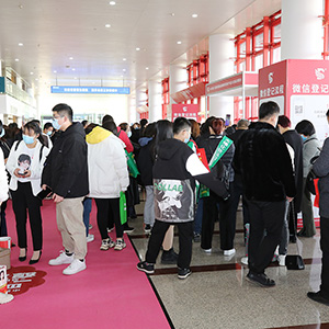 ֻƴMȡڳԽ쾫Ӣ