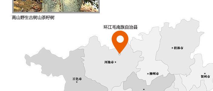 茶氏家族-古樹山茶麩洗發(fā)乳 茶氏家族-古樹山茶麩洗發(fā)乳