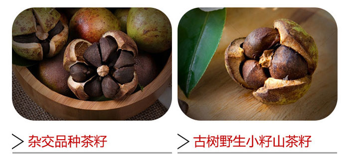 茶氏家族-古樹山茶麩洗發(fā)乳 茶氏家族-古樹山茶麩洗發(fā)乳